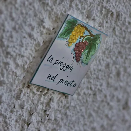 Il Tremolar Della Marina *