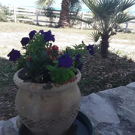 Alloggio per agriturismo Il Tremolar Della Marina *