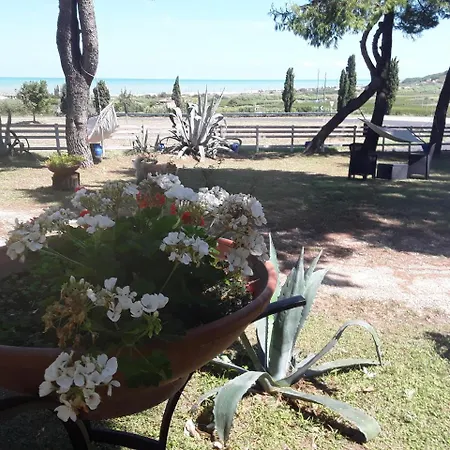 Il Tremolar Della Marina