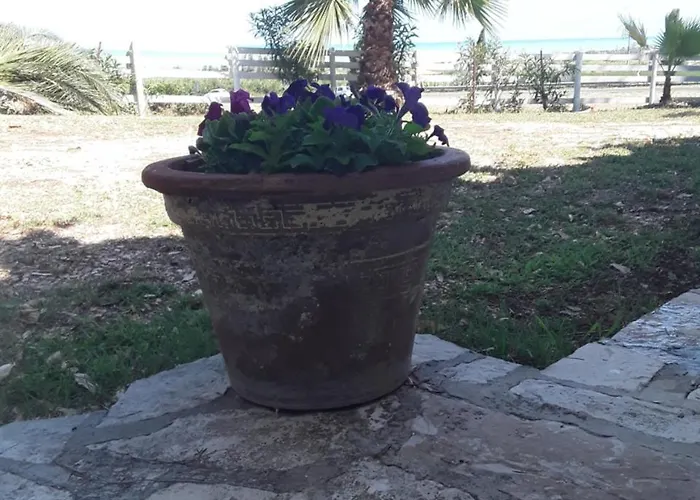 Il Tremolar Della Marina Farm stay Casalbordino