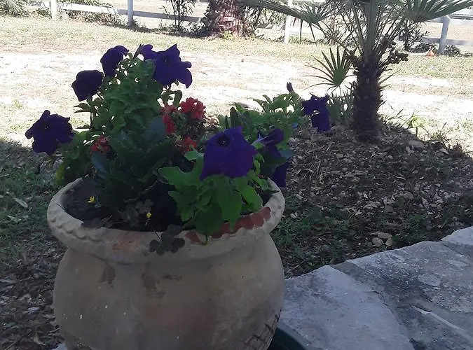 Farm stay Il Tremolar Della Marina *